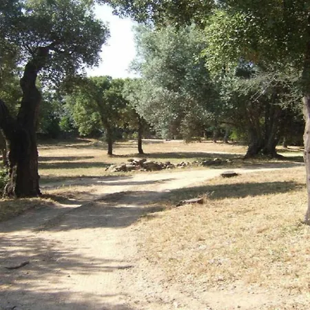 Grande Suara - Maison Avec Piscine Vecchio بيت للعطل